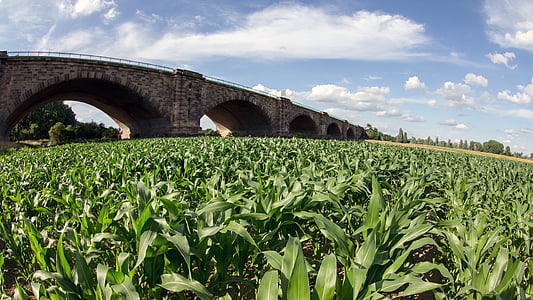 paysage, pont de l’autoroute, nuages, champ de maïs