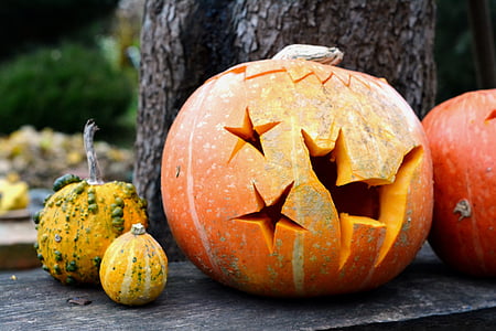 calabaza, calabaza, Halloween, corte, linternas, otoño