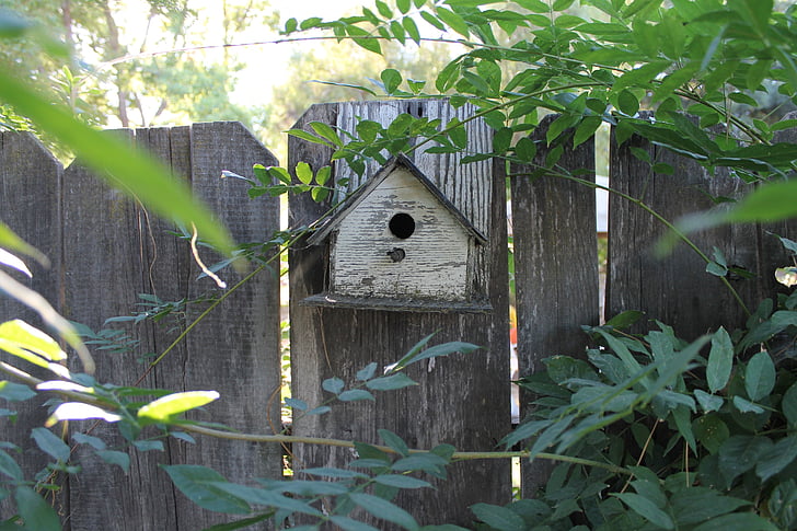 Bird house, hegnet, haven, træ, rustik, dyr, hjem