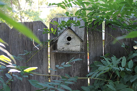 bird house, fence, garden, wood, rustic, animal, home