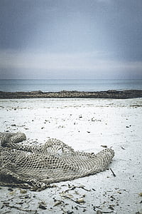 beach, drift wood, network, fishing net, flotsam, sand, coast