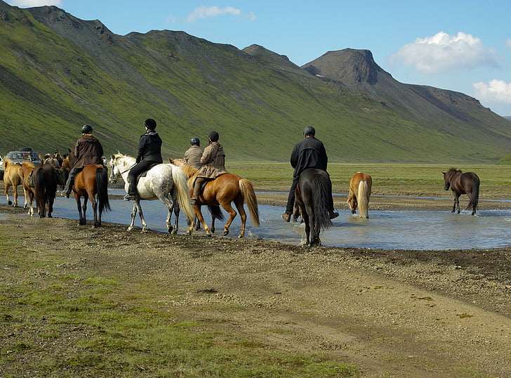 iceland, horses, riders