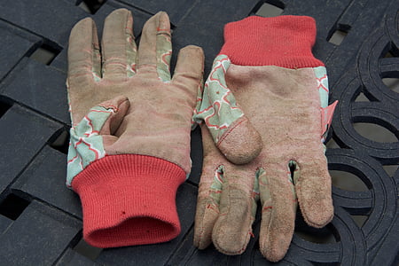 handschoenen, Tuin, vuile, Tuinieren, landbouw, werk, plant