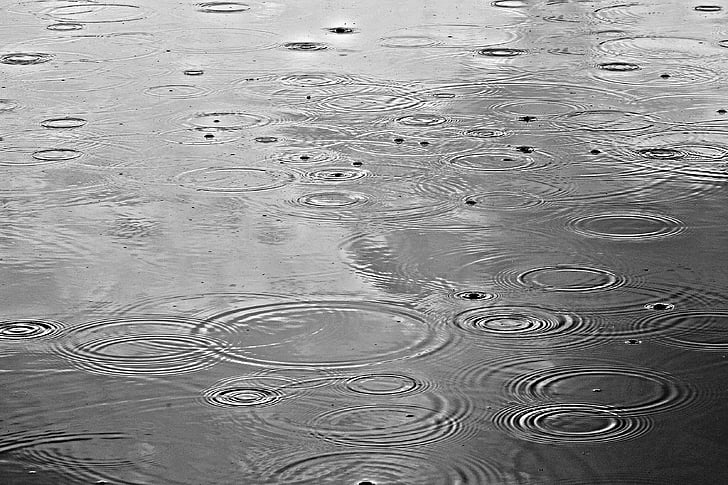 rain, rain drops, water, rain on water, pond, water drop, drop