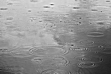 rain, rain drops, water, rain on water, pond, water drop, drop