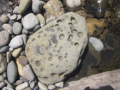 rock, beach, weathered, coast, northern california, ocean, stone
