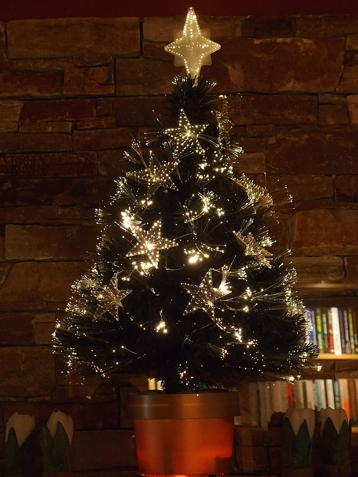 juletre, Sapling, Christmas, treet, juletider, lys, ornament