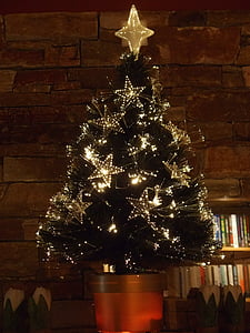 christmas tree, sapling, christmas, tree, christmas time, light, ornament