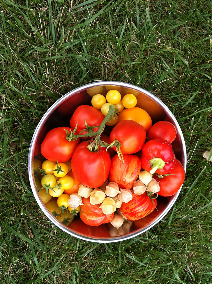 dārza, dārzeņi, tomāti, pipari, bļoda, veselīgi, vasaras