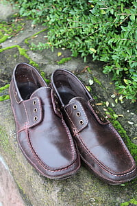leather shoes, shoes, fashionable, shoelace, lost, found, men's shoes