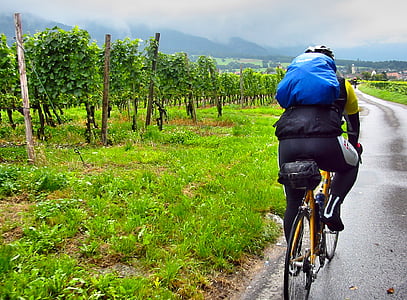 ceļu velosipēds, velosipēdisti, lietus, vīna dārzi, mugursoma, ainava, Reinas ieleja