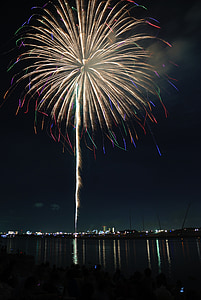 yellow, colorful, flower, fireworks, sky, night, japan