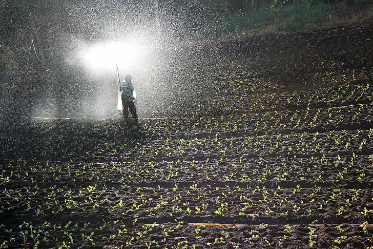 field, spray, water, fertilizer, field workers, bauer, night