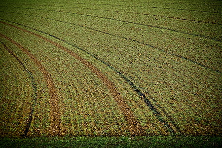 landscape, field, nature, arable, agriculture, ground, arable land