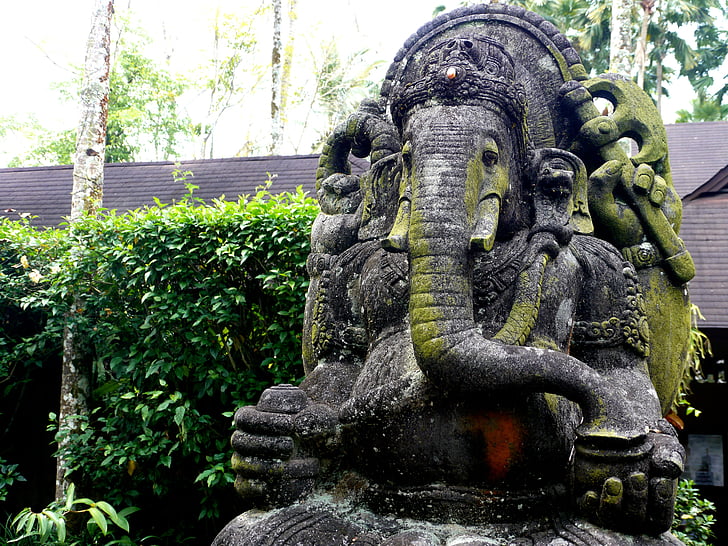 ganesha, elephant, religion, india, hindu, bali