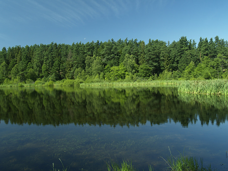 Kaszuby, ežeras, miško, Lenkija, kraštovaizdžio, atspindys