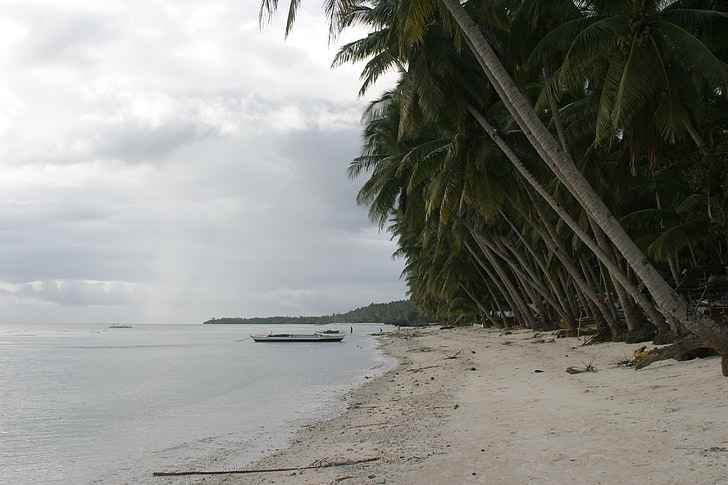 temps plujós, Nuvolositat, Filipines, platja, platja de sorra, palmeres, solitari
