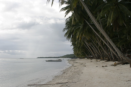雨の天気, 曇り, フィリピン, ビーチ, 砂のビーチ, ヤシの木, 孤独です