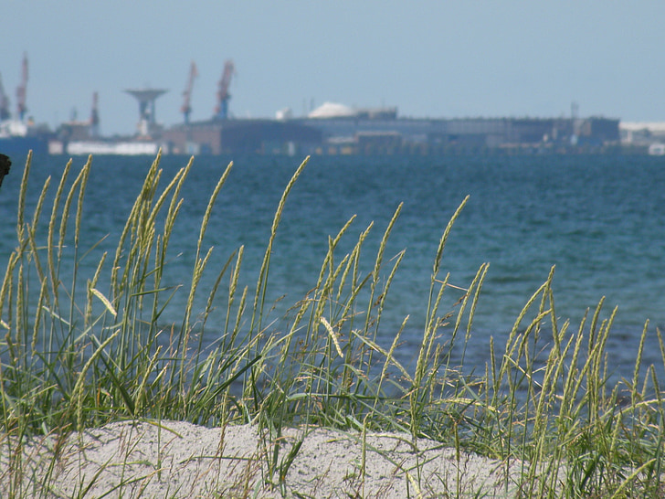 stranden, sjøen, vann, Landskrona