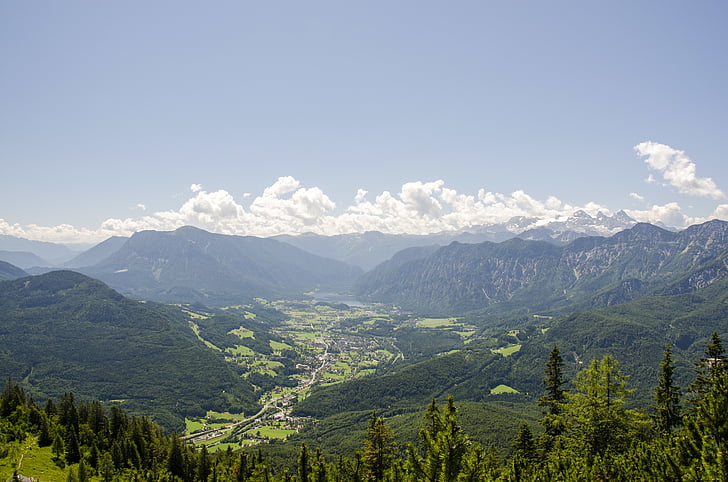 modrá, obloha, zelená, strom, pole, mrak, Les