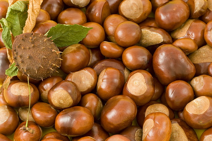 brown, chestnuts, food, nuts, roasted, snack