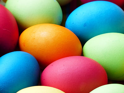 orange, blue, pink, green, colored, eggs, macro