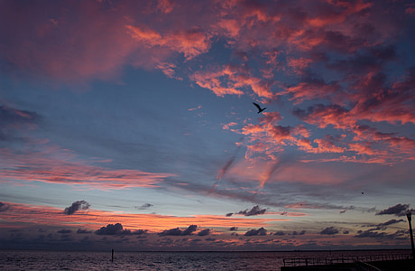 Florida, solnedgång, färger, färgglada, havet, Ocean, vatten