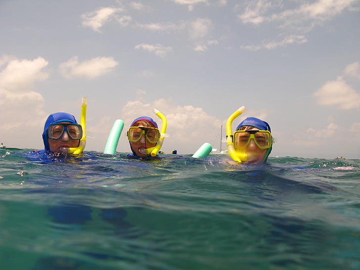 înot, snorkelling., apa, vara, mare, snorkeling, snorkel