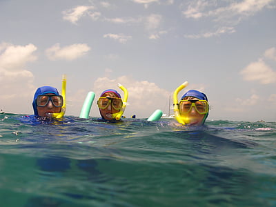 swimming, snorkelling, water, summer, sea, snorkeling, snorkel