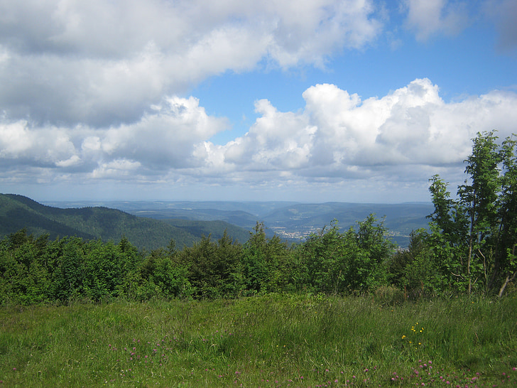Vosges, vue, Panorama, été, vert, large, Sky