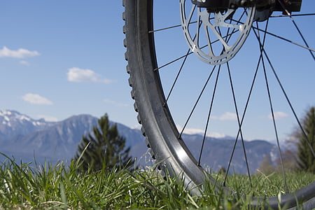 roda, Raios, fechar, aro, maduras, bicicleta de montanha, pneu
