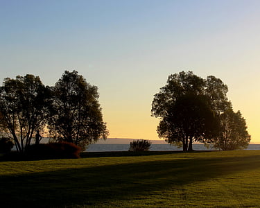 秋天, 早上, 心情, 日出, 树木, 湖, 康斯坦茨湖