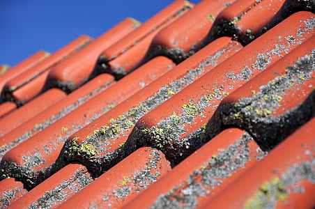 telhado, telha, telhas de argila, redondas, vermelho, diagonal, terracota