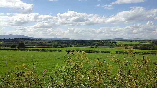 ireland, green, field, panorama, hills, grasses