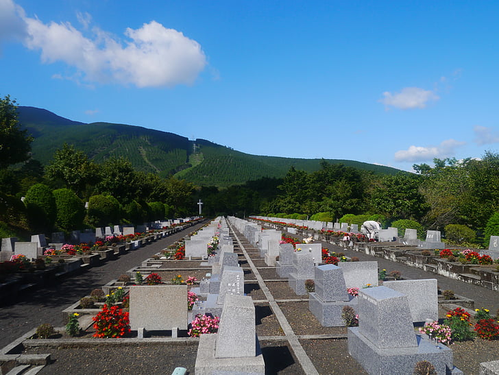 hrob, Boneyard, hrob markerovou, náhrobek, kremace, náhorní plošina, květiny