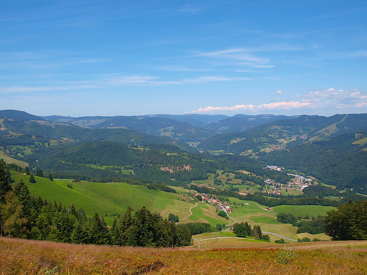 landskaber, Tyskland, Schwarzwald, Mountain, Hills