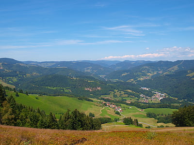landskap, Tyskland, Schwarzwald, Mountain, Hills