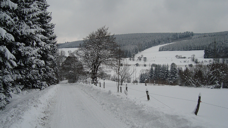 Winterberg, neige, paysage, hiver, Allemagne, ski de fond