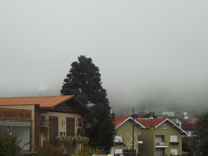 travnik, nebo, Megla, dež, hladno
