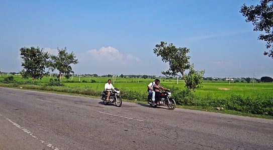 dálnice, rýžového pole, kolo jezdec, Gangawati, Karnátaka, Indie