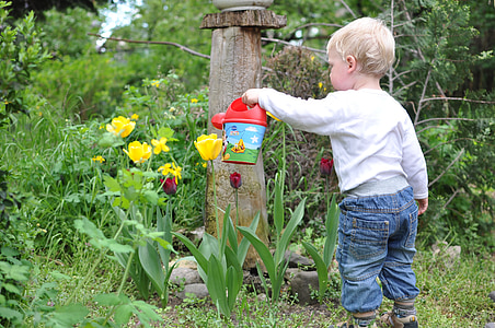 child, kid, garden, watering, flower, boy