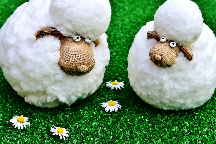 sheep, figures, funny, meadow, daisy, deco, decoration