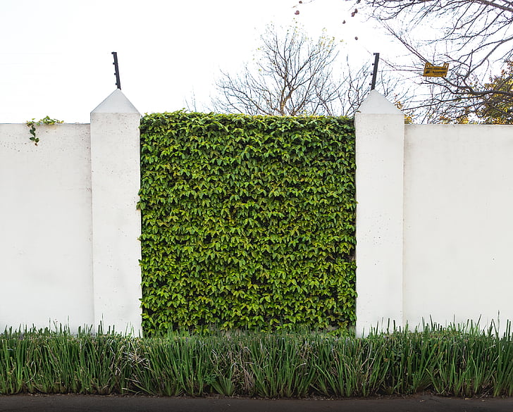 biały, betonu, ściana, w pobliżu, zielony, trawa, filar