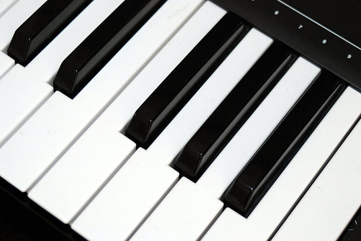 klaver, taster på tastaturet, musik instrument, sort hvid, nøgle, tastatur, musikalske