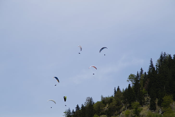 parachute, parachutist, skydiving, championship, bavarian, sky, blue