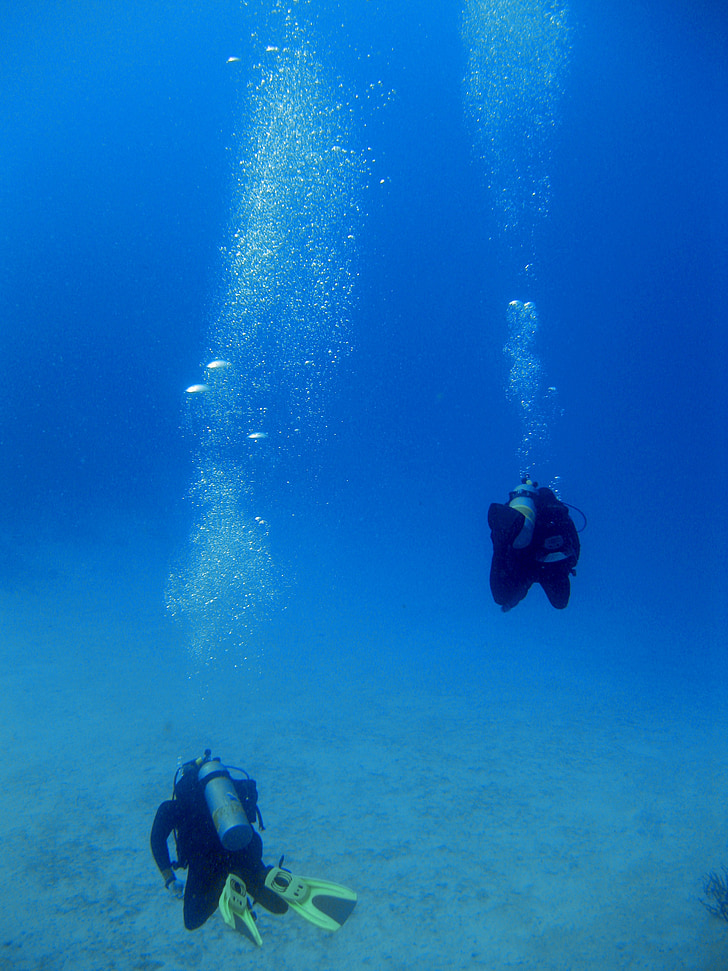 underwater, divers, bubbles, scuba, marine, reef, tropical