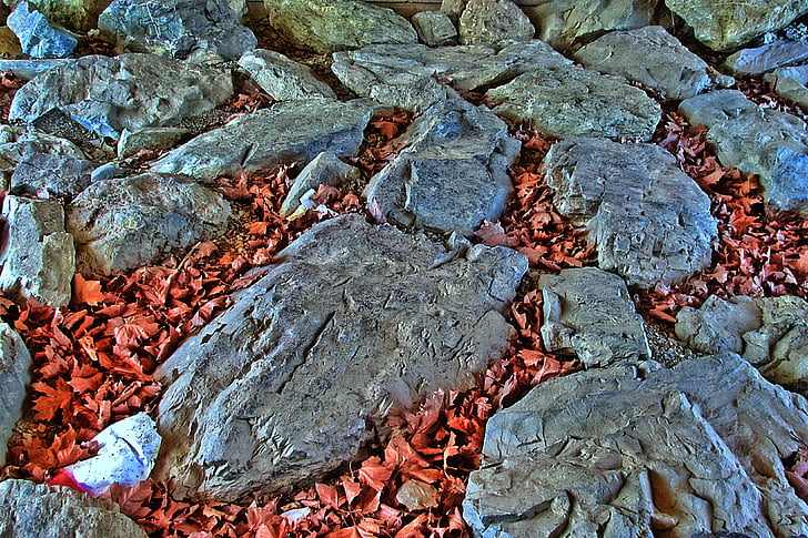 Rock, kivet, lehdet, HDR kuva