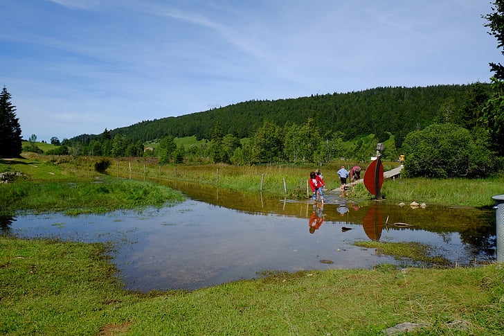 landskapet, Jura, Lake, rødhårede, feltet, natur