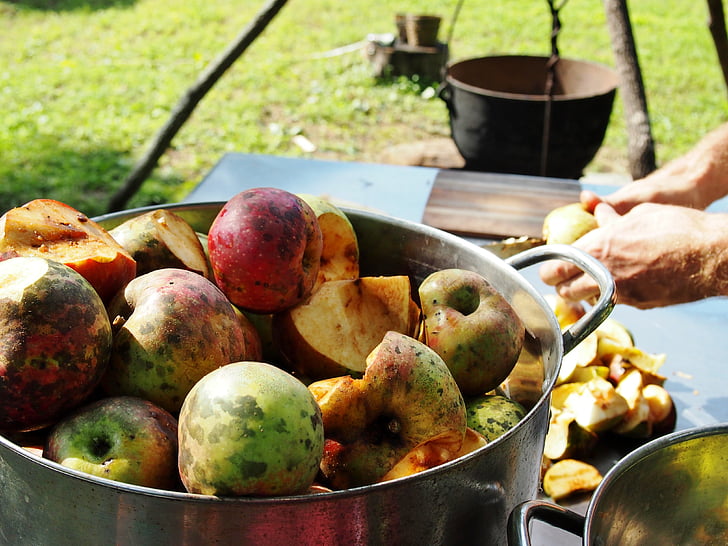 rustic, arkansas, homestead, apples, applesauce, peeling apples