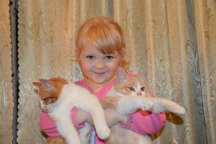 дитина, Дівчина, кішка, діти, маленька дівчинка, домашні тварини, дитинство